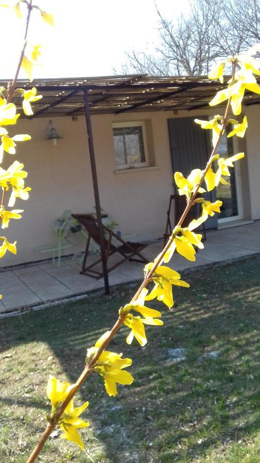 Le Marronnier Διαμέρισμα Niozelles Εξωτερικό φωτογραφία
